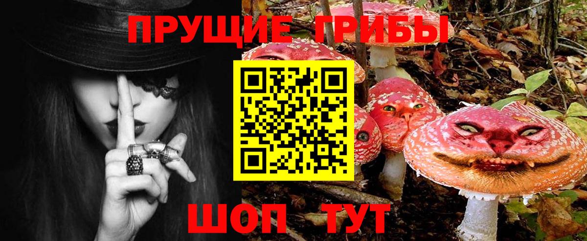 Галлюциногенные грибы GOLDEN TEACHER Орехово-Зуево