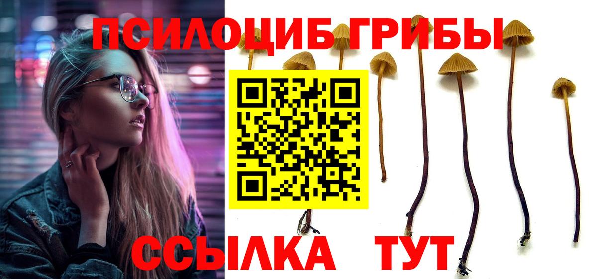 Орехово-Зуево  Псилоцибиновые грибы мухоморы  Вход с VPN  Галлюциногенные грибы мицелий 
